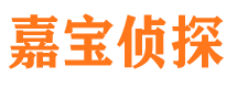 铁山港侦探公司